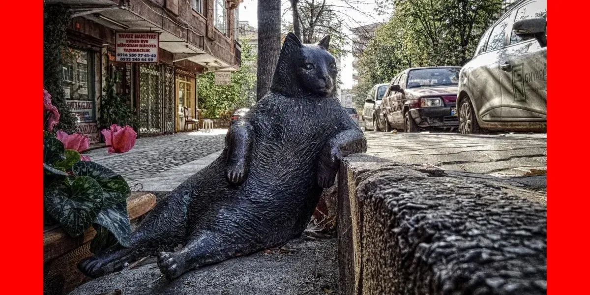 img of eToro vs XTB (2026): Mejor Broker