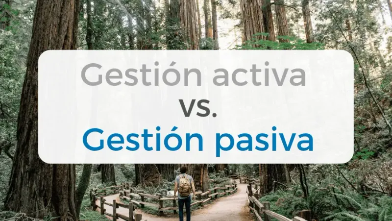 img of Inversión Pasiva vs Activa en 2025: ¿Qué Estrategia Te Conviene Más?