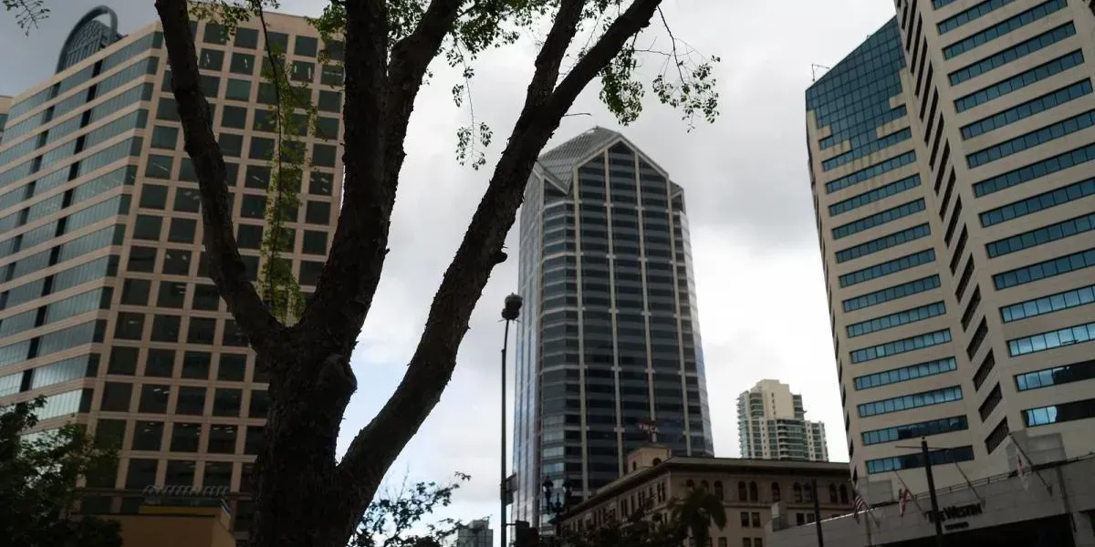 img of Mejores ETFs Sostenibles (ESG) desde España (2026)