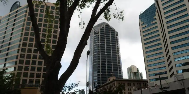 img of Mejores ETFs Sostenibles (ESG) desde España (2026)