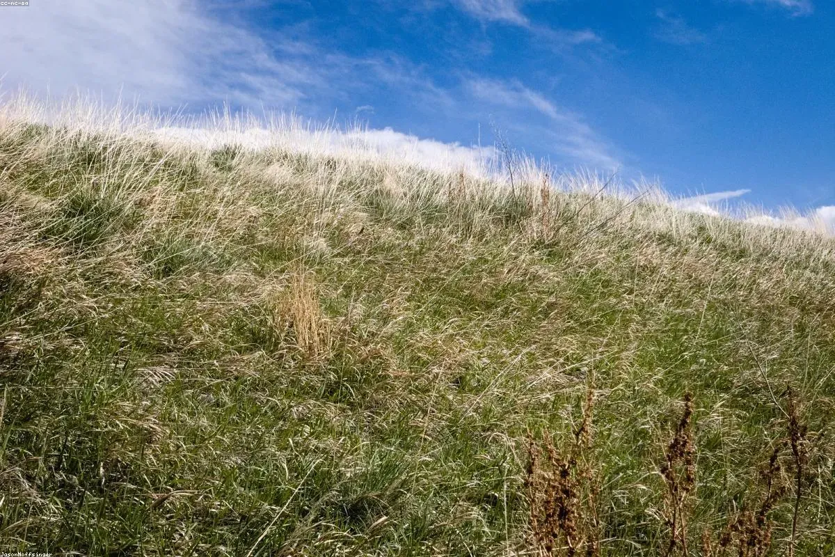 La Regla del 4% y el Movimiento FIRE en España: Guía Completa