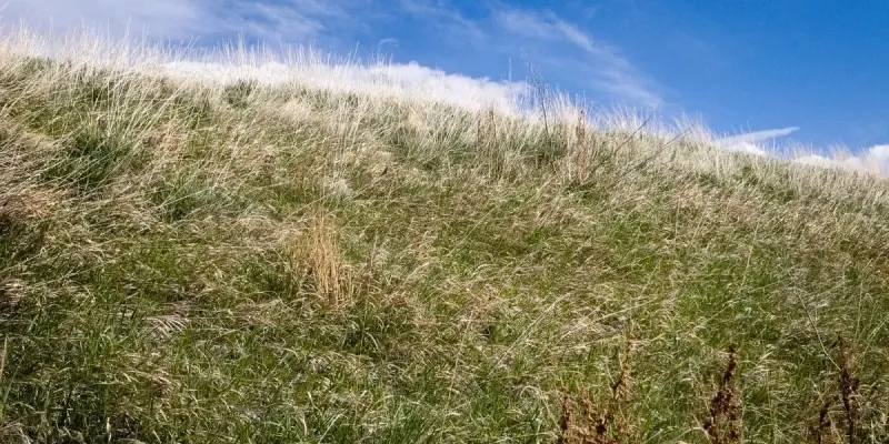 img of La Regla del 4% y Movimiento FIRE en España: Guía en 2026