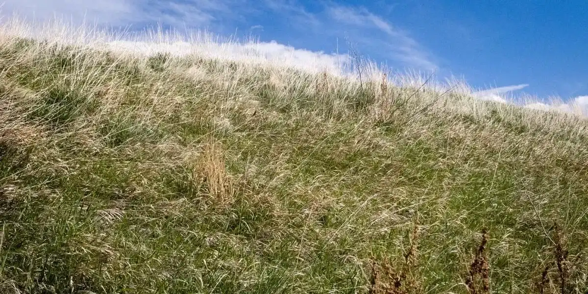 Regla 4% y Movimiento FIRE España (2026)