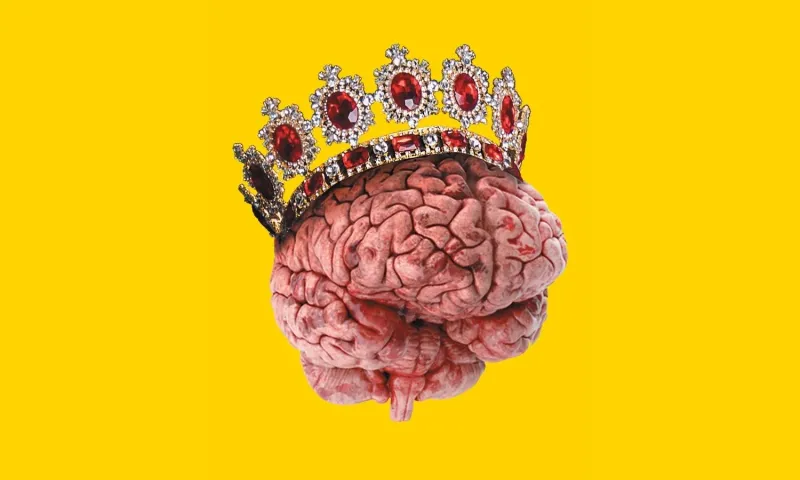 img of Sesgos Cognitivos que Sabotean tus Inversiones (y Cómo Vencerlos)