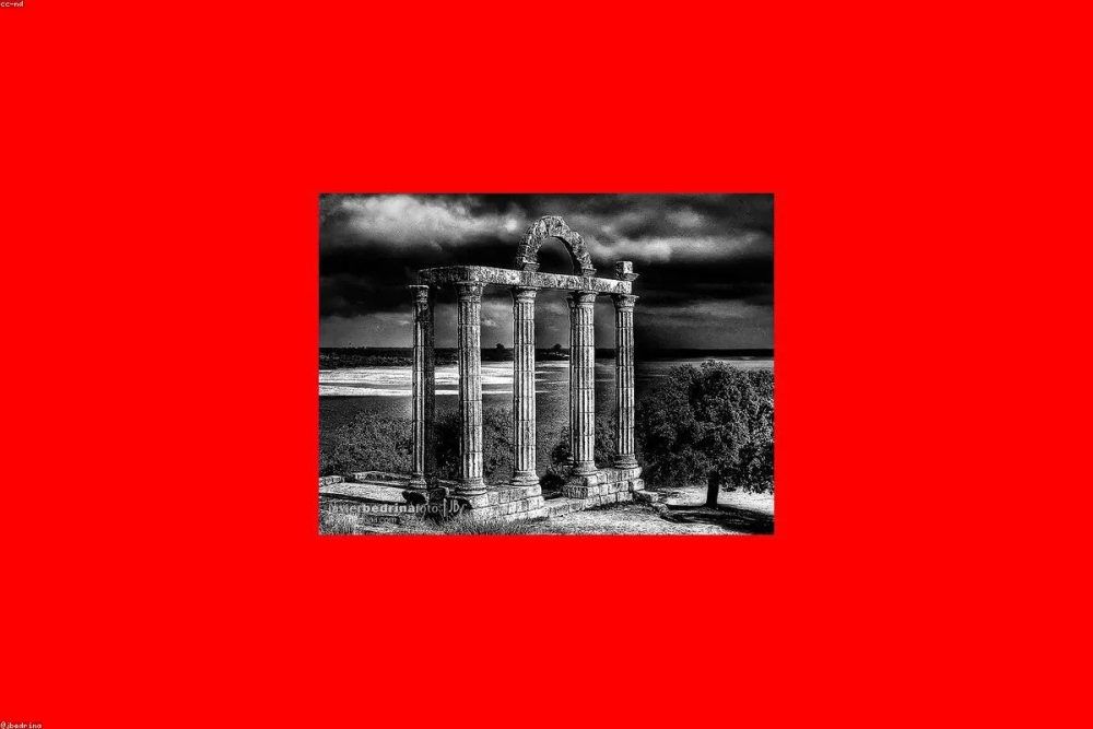 Trading 212 vs. MyInvestor: ¿Cuál elegir en 2026?